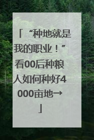 “种地就是我的职业！”看00后种粮人如何种好4000亩地→